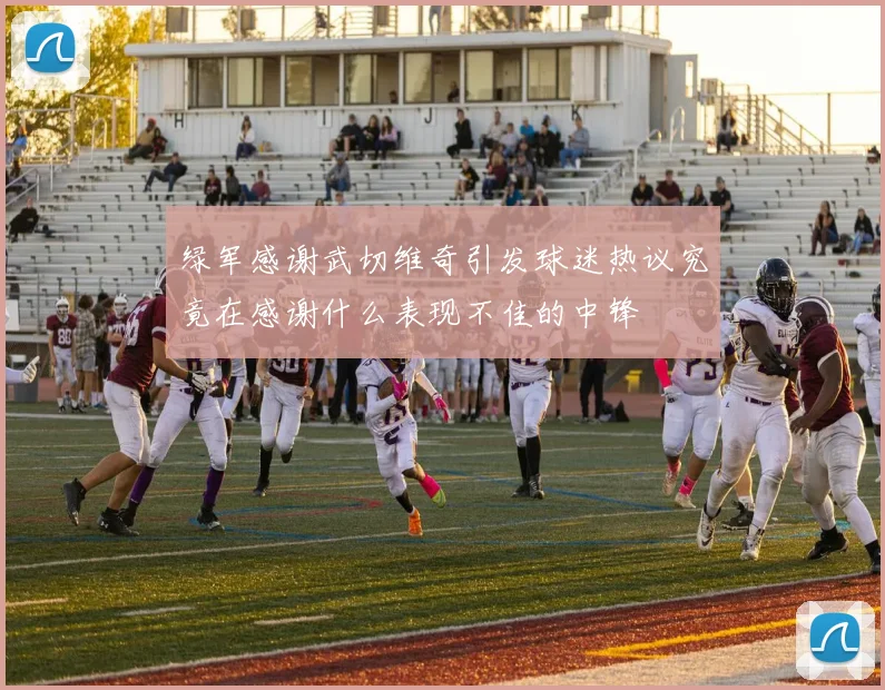 绿军感谢武切维奇引发球迷热议究竟在感谢什么表现不佳的中锋