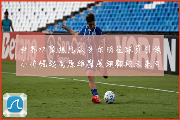 世界杯聚焦厄瓜多尔明星球员引领小将崛起高原雄鹰展翅翱翔未来可期